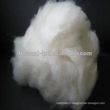 Natural white Cashmere fiber 100% 16micron 26mm to 38mm manufacture